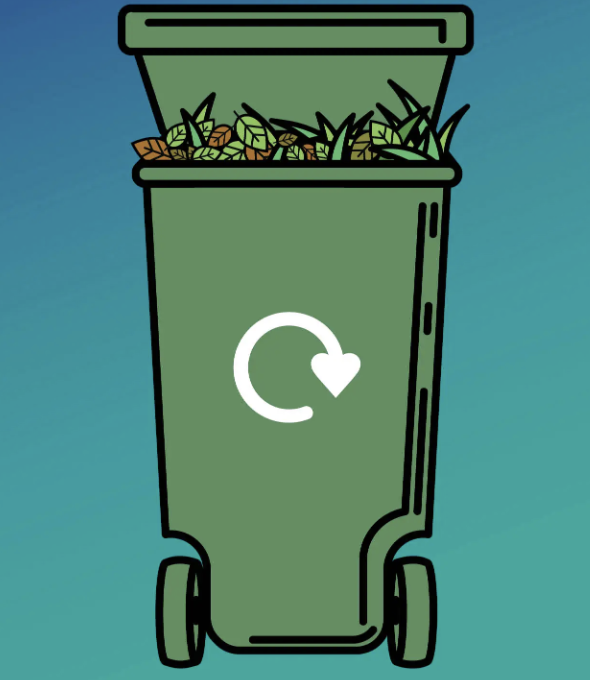 bristol-waste-guide